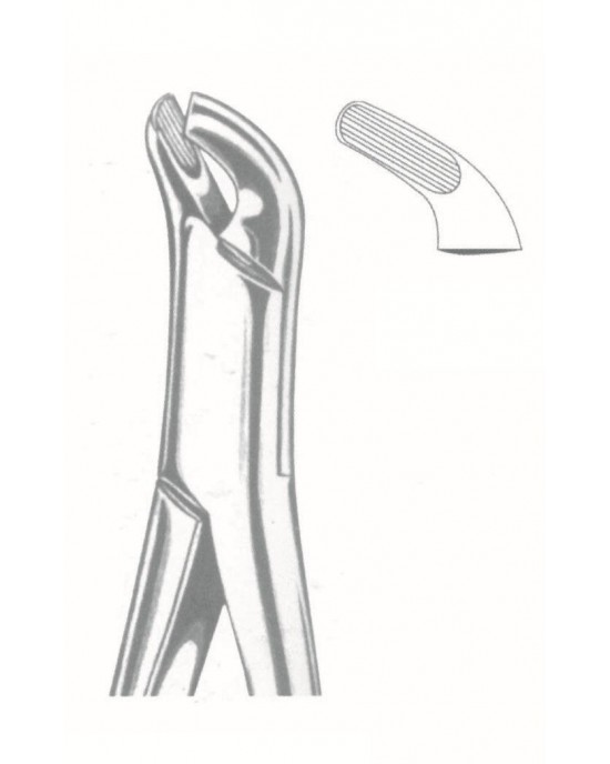 HD -50-1019