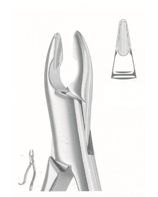 HD -50-1036