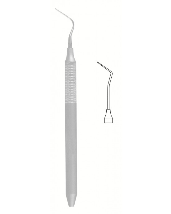 HD -56-1559