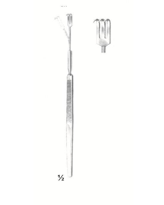 HD -69-3013