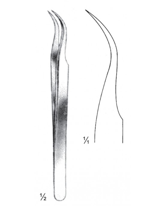 HD  08-2146-11