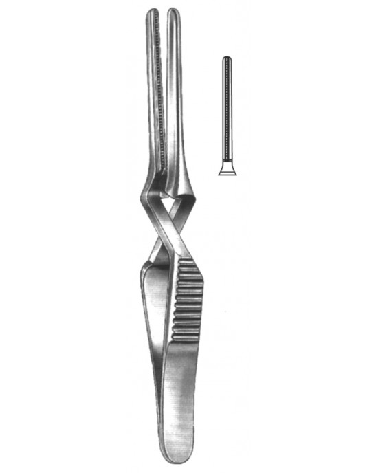 HD  19-5529-07