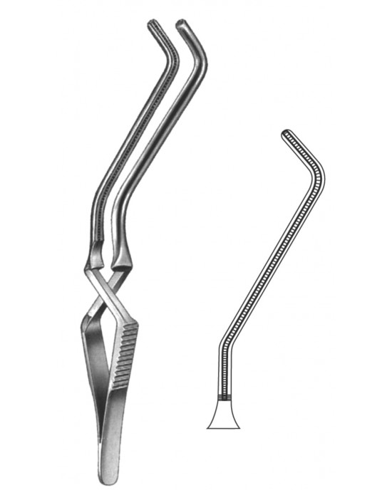HD  19-5534-02
