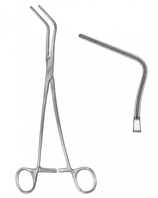 HD  19-5554-04