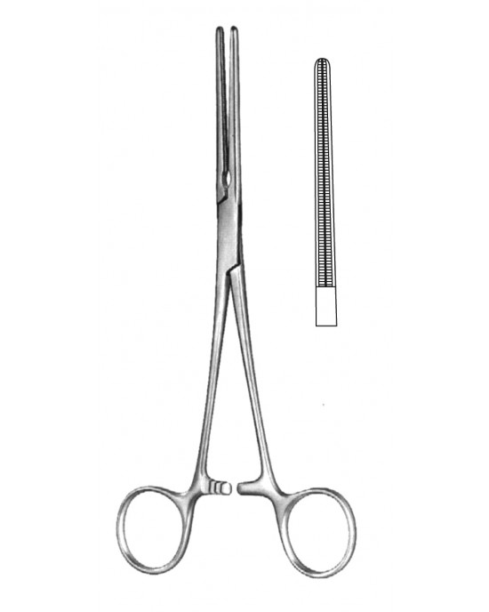 HD  19-5578-14