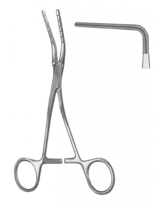 HD  19-5596-01