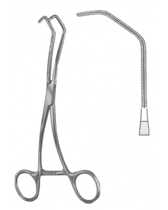 HD  19-5600-04