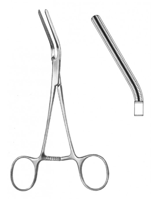 HD  19-5751-08