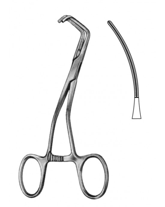 HD  19-5843-25